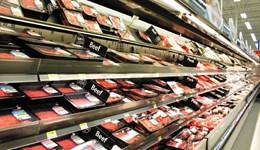 Meat shopper journey: In-store shopper behaviour